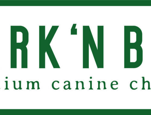 Enhancing Security at BarknBig